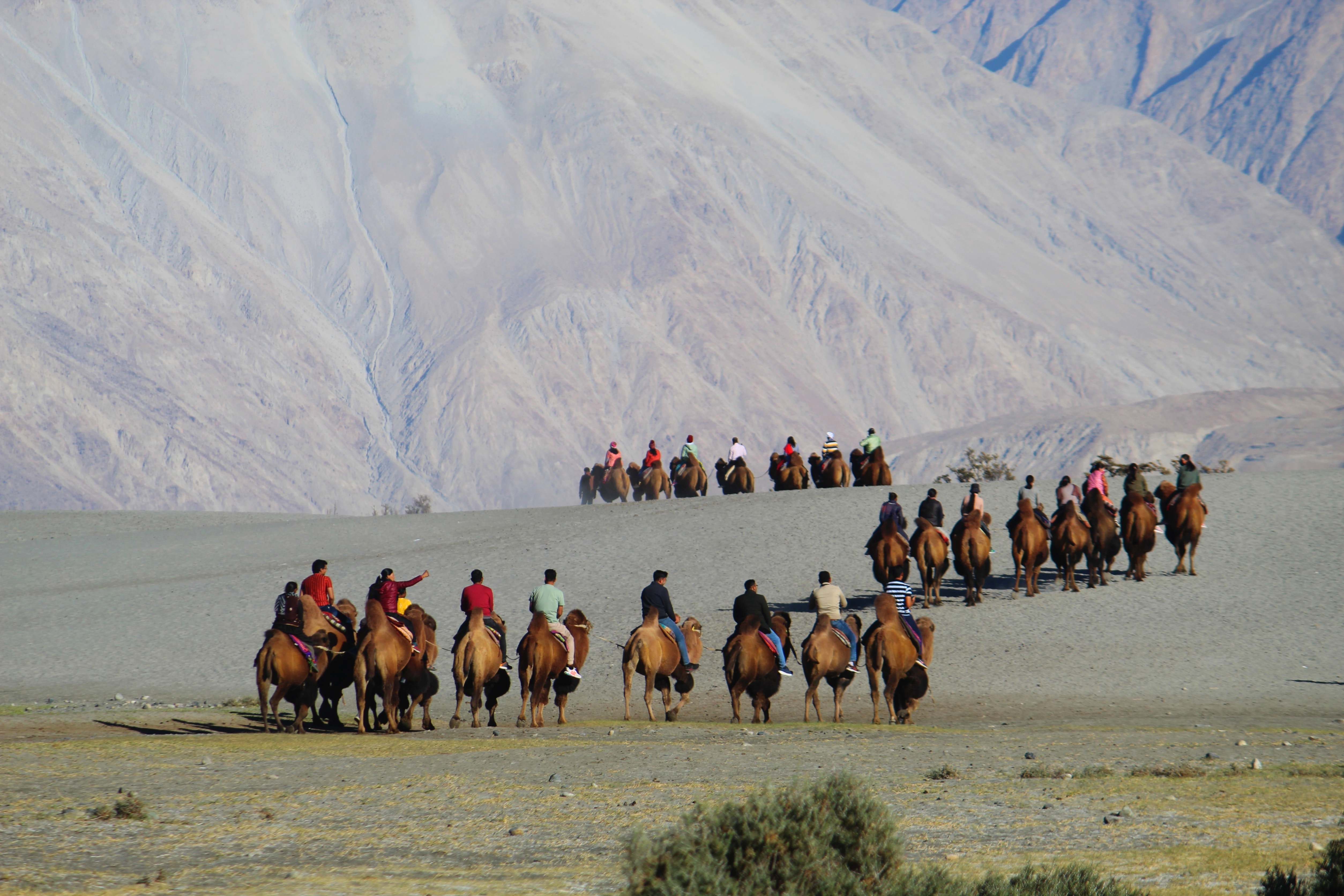 Nubra Valley